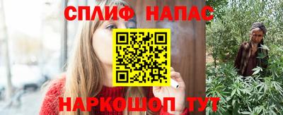 МДПВ Обнинск